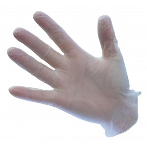Portwest - Powder Free Vinyl Disposable Glove (Pk100) - A905