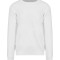 Arctic White