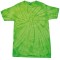 Spider Lime