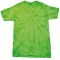 Spider Lime